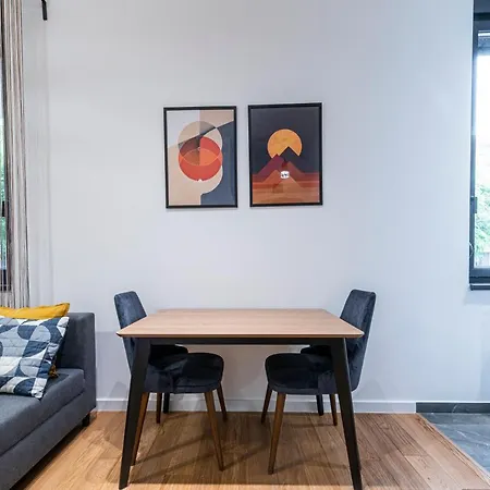 Vertigo Modern Studio-free Private Parking-fast Wi-fi Novi Sad