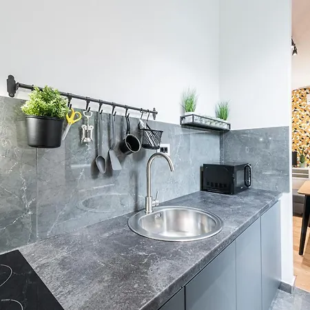 Vertigo Modern Studio-free Private Parking-fast Wi-fi アパート ノヴィ・サド