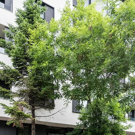 Vertigo Modern Studio-free Private Parking-fast Wi-fi Apartment